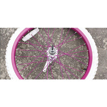 Bicycle Coaster Brake Hub/Bike Brake Rear Hub 36 Hole Stainless Steel